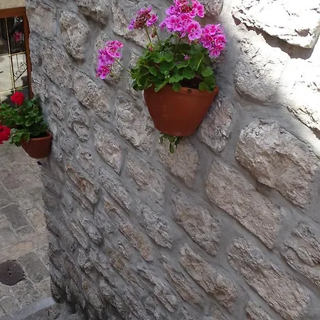 Apartment Renaissance Old Town Budva